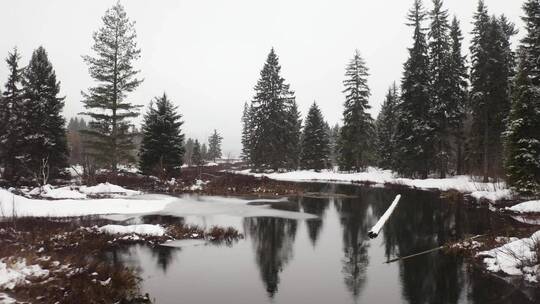 有河的雪林景观