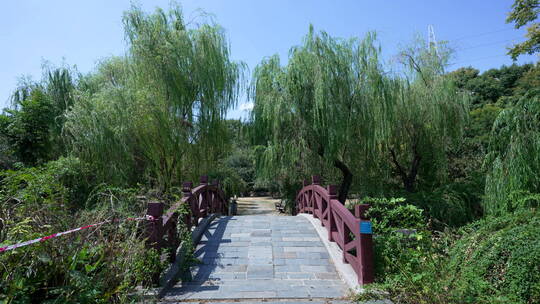 武汉汉阳区汤湖公园风景