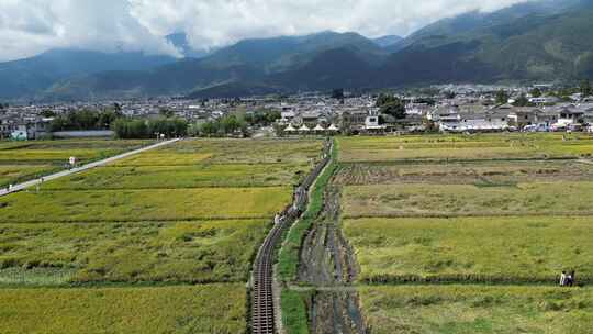 大理稻田航拍风光