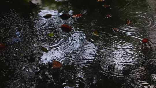 下雨雨水落在地面上雨滴涟漪