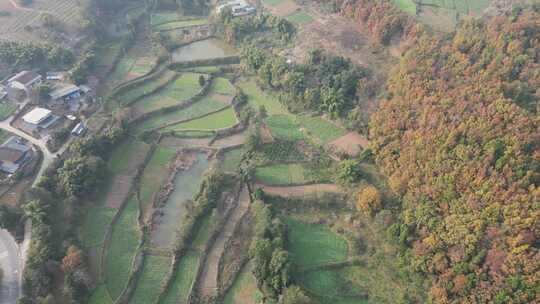 四川德阳罗江区附近山林秋色