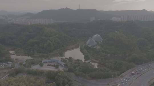 惠州市植物园 惠州植园园