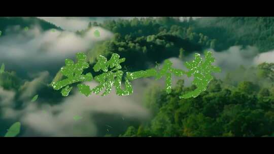 微电影宣传片绿色片头