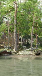 被树木和岩石包围的水体