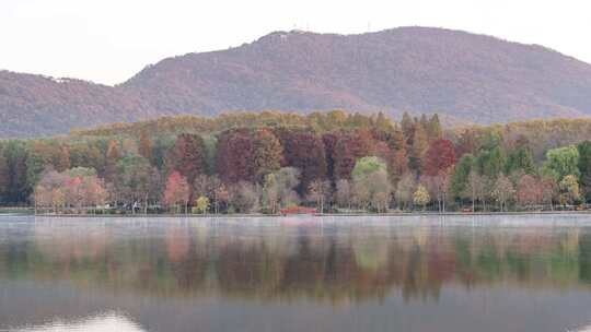 江苏南京灵山风景区前湖秋天秋色延时