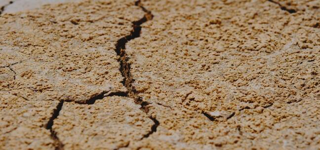 沙漠沙地的裂缝