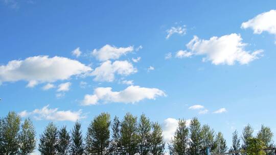 绿树蓝天白云缩时长视频自然景色风光