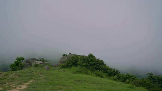 香港大帽山郊野公园，雾天云雾流动