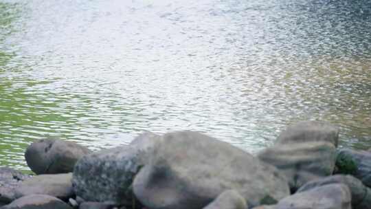 河道水流特写(合集-9个镜头)