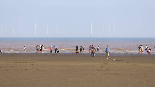 上航临港新城海滩休闲赶海