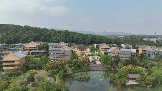 杭州国家版本馆