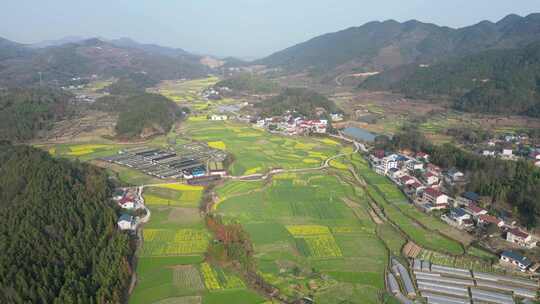 美丽乡村田园油菜花种植航拍