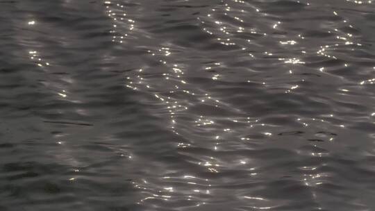 水面波光粼粼金色波光LOG视频素材模板下载