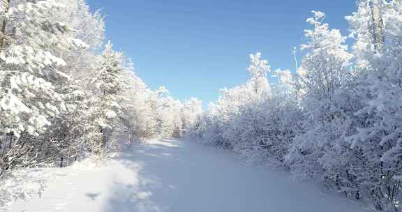 内蒙古大兴安岭冰雪雾凇、雪凇