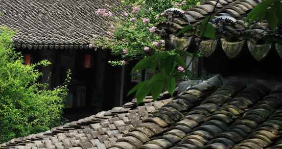 古镇绿色植物屋顶瓦片阳光光影局部特写