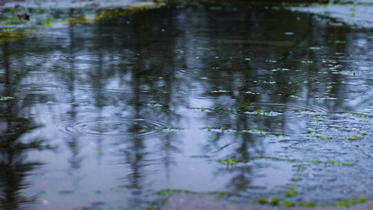 下雨的公路路面视频素材模板下载