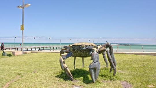 澳大利亚墨尔本海边草地螃蟹雕塑