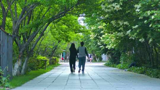 人物背影 行走 绿色风景 林间小道 树荫