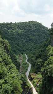 竖版航拍大山山谷公路