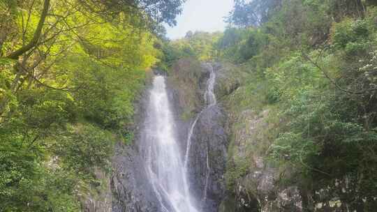 瀑布森林流水大自然小溪水山涧水源泉水山水