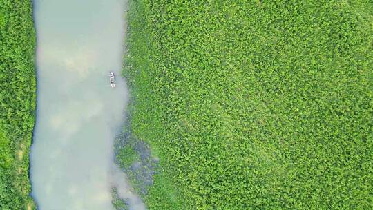 滏阳河湿地