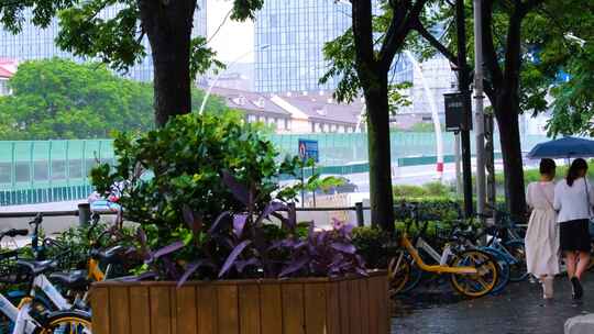 下暴雨下大雨下雨天雨水雨滴街景街道街头风