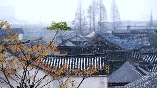 古镇雪景浙江盐官古镇初雪