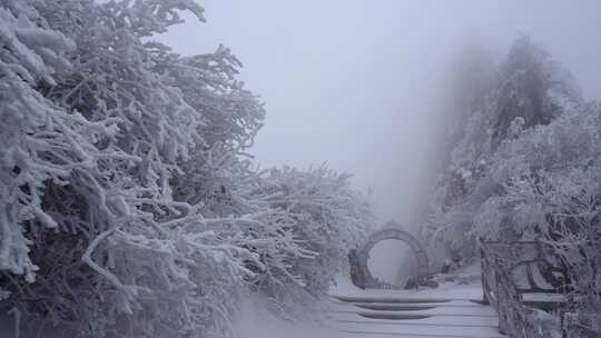 冬天寒风大雪雾凇