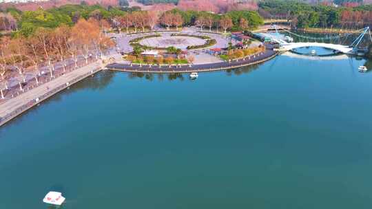 上海浦东新区世纪公园航拍城市地标风景风光视频素材模板下载