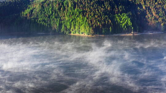 清晨唯美的湖面雾气视频素材模板下载