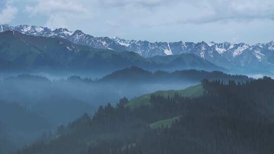 禅意水墨风光