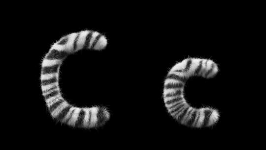 大写和小写斑马羊毛字母C的3D动画