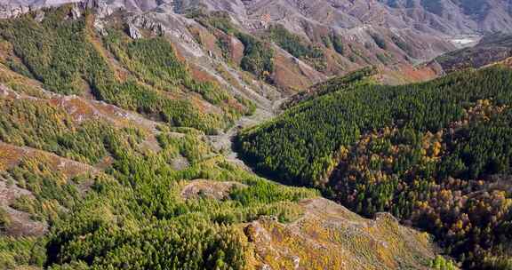 苏木山国家森林公园秋色