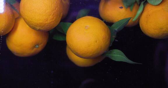 创意新鲜橙子柑橘桔子入水碰撞水果合集