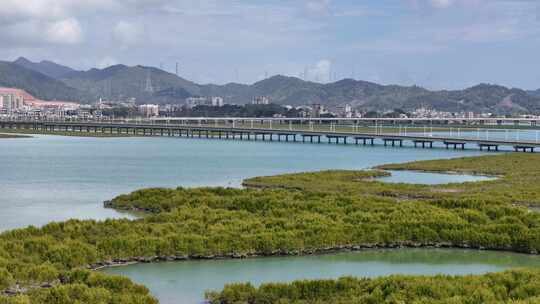 惠州盐洲海洋湿地公园-红树林湿地风光