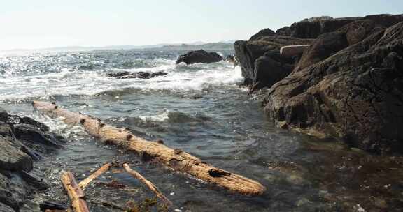 波浪拍打着浮木和岩石