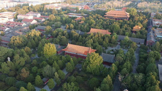 岱庙古建筑深秋景色风景