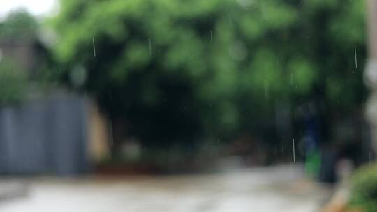 小清新感觉的小雨下雨视频素材