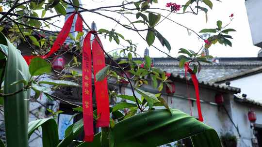 甘坑寺在微风中飘动的红色祈福带