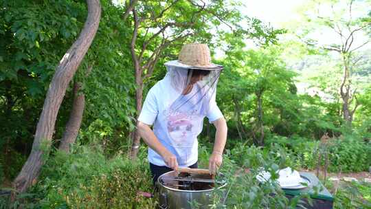 蜜蜂 养蜂人