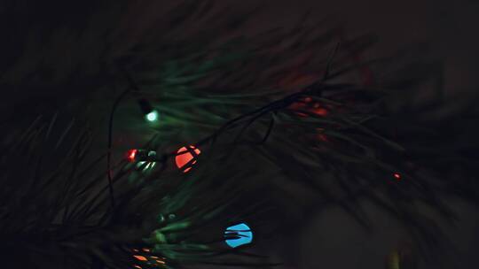 圣诞树上彩色的灯