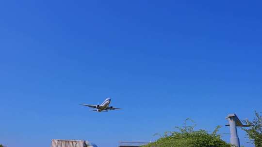 中国南方航空  飞机 航班 飞机降落 厦门视频素材模板下载