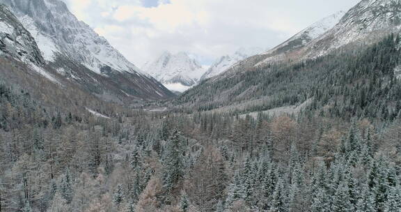 四姑娘山冬日雪景双桥沟航拍