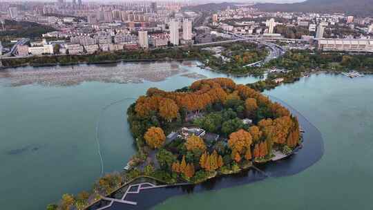 江苏南京玄武湖公园紫峰大厦日落夜景航拍