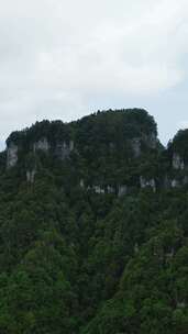 竖版航拍湖北神农架天燕景区4A景区