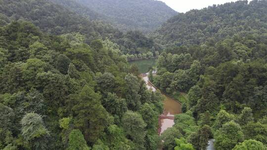 航拍丘陵山川森林绿色植物