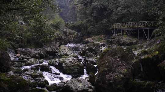 龙苍沟国家森林公园