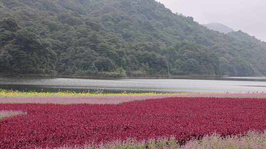 广州市从化区石门森林公园天湖风景