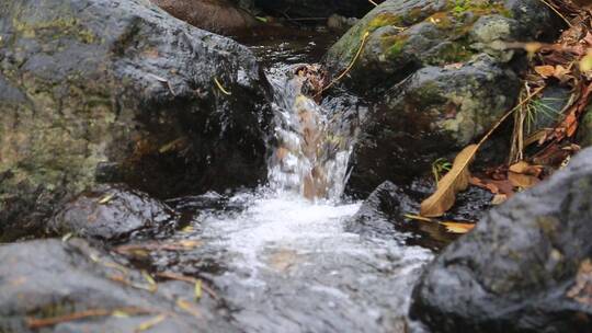 森林山泉溪水河流