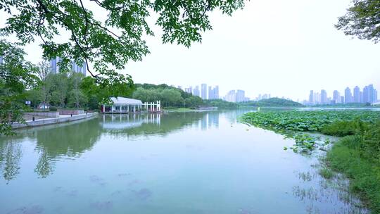 武汉汉阳月湖风景区风光4K实拍合集
